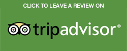 2023_trip_advisor